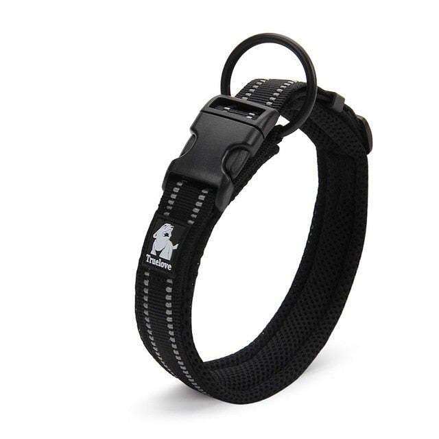 Adjustable Dog Collar