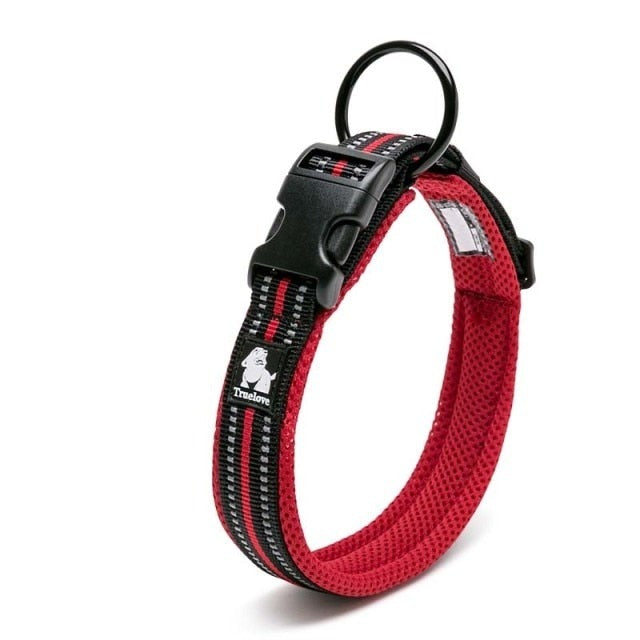 Adjustable Dog Collar