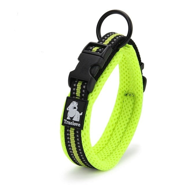 Adjustable Dog Collar