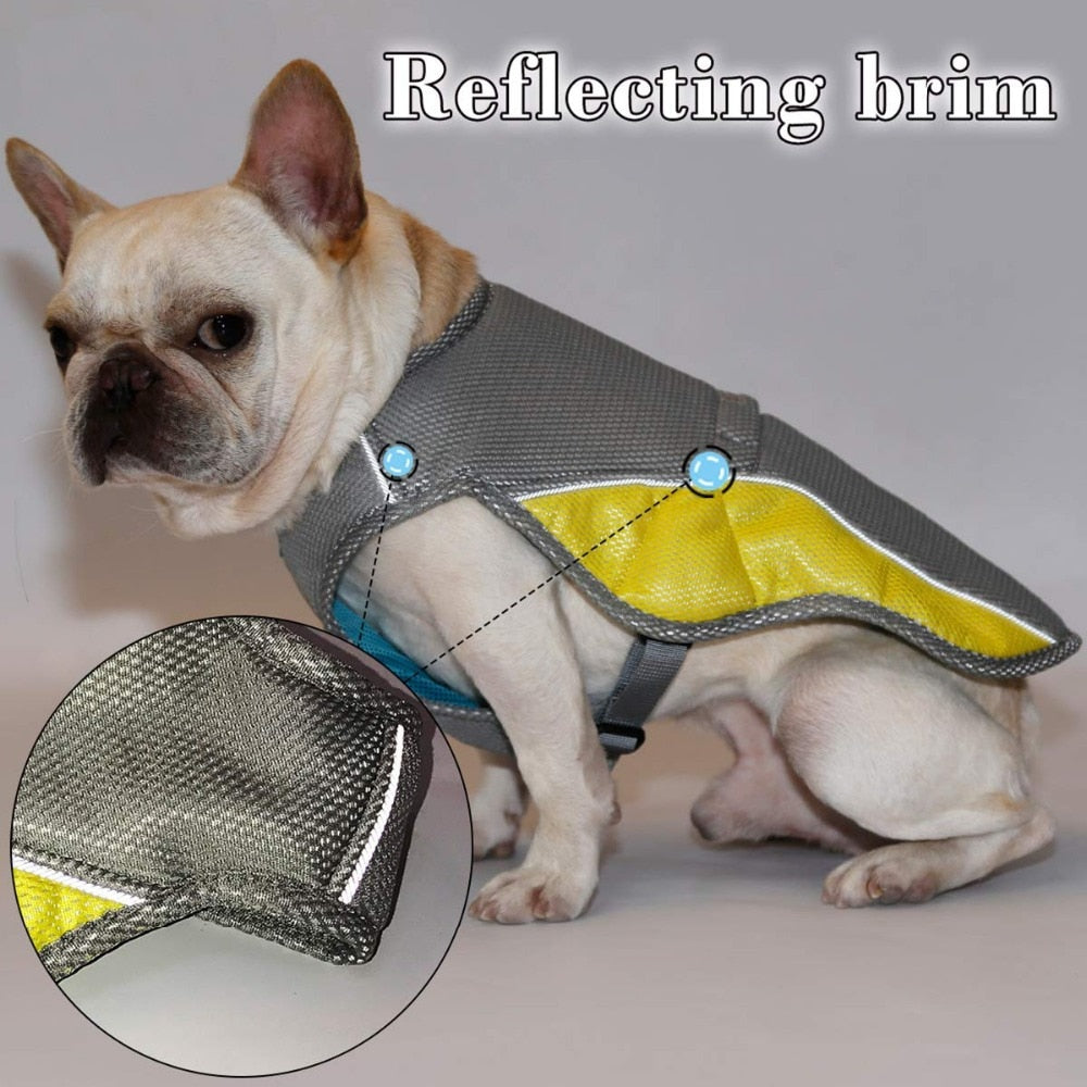 Dog Cooling Vest