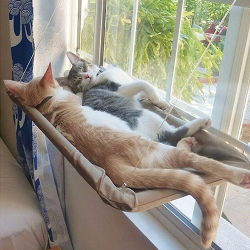 Indoor Cat Hammock