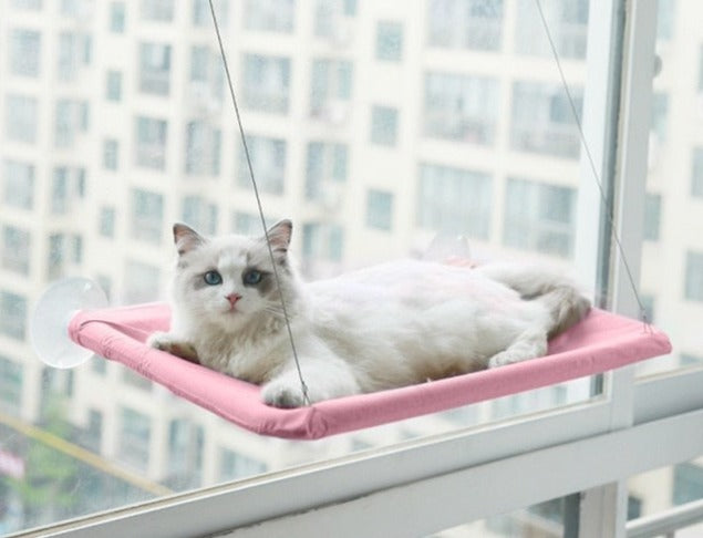 Indoor Cat Hammock